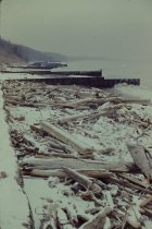 View north along the beach